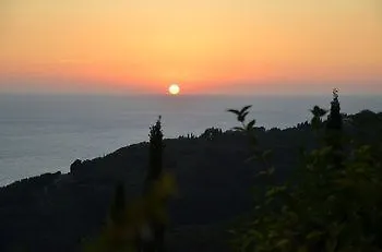 Alexakis * Agios Gordios (Corfu)